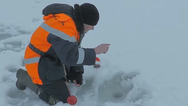 Народная рыбалка Семилукский турнир по подледному лову 2017 смотреть онлайн