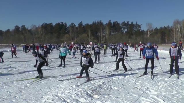 Лыжня России 2016 Барнаул смотреть онлайн