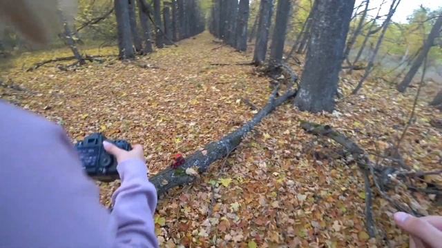 МТЗ 82.3 НА ФОТОСЕСИИ В ЛЕСУ)) смотреть онлайн