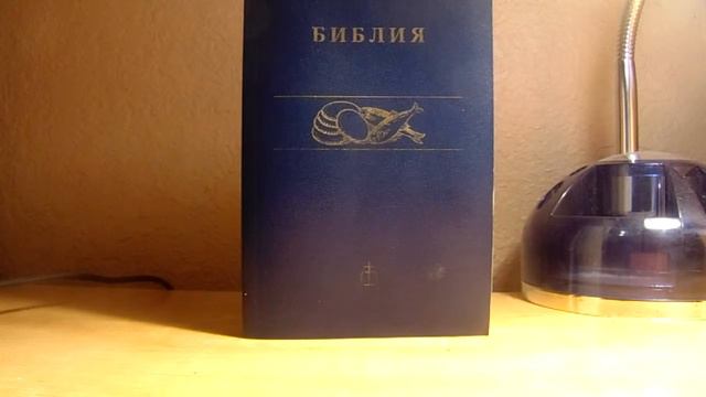 Когда душа мертва в человеке живущем в теле? смотреть онлайн