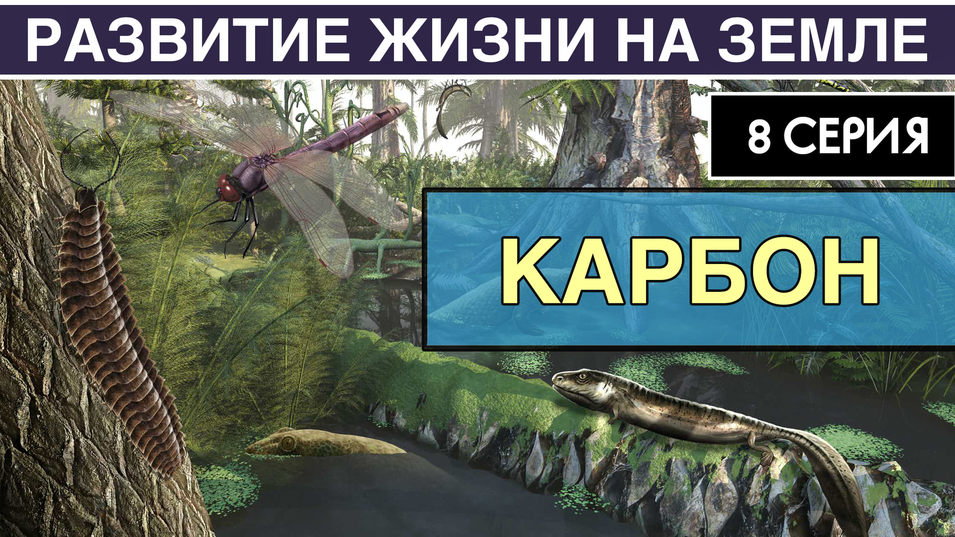 КАМЕННОУГОЛЬНЫЙ ПЕРИОД. Развитие жизни на Земле. 8 серия | Эпоха гигантизма. Амфибии и амниоты смотреть онлайн