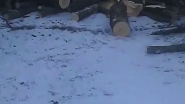 Привезли дрова вигружают смотреть онлайн