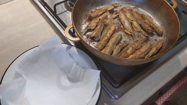 Мир Разнообразия