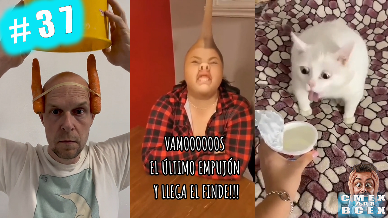 ПРИКОЛЫ 2023 СМЕШНЫЕ ВИДЕО ЧУДИКИ ИЗ ТИК ТОК СМЕХ ДЛЯ ВСЕХ №37