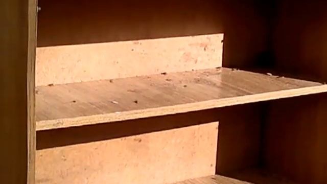 На входе в музей А.Ахматовой - помойка с тараканами смотреть онлайн