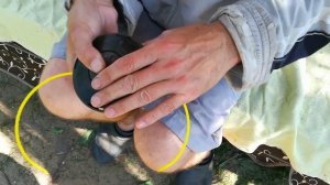 Триммер.Как надеть катушку(шпулю) и нож.Замена лески катушки.Шайбы триммера.