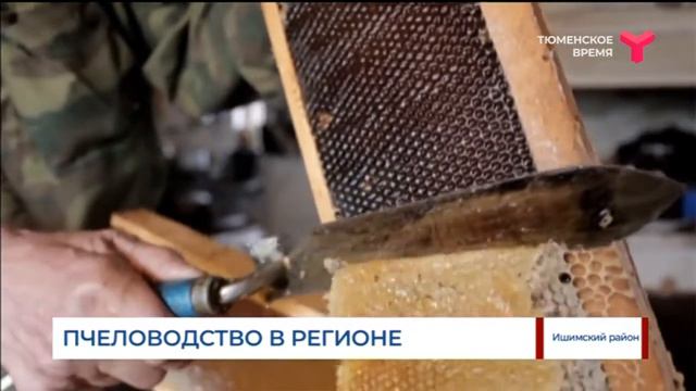 Пчеловодство в Ишимском районе смотреть онлайн