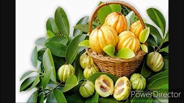 Benefits of Kudam Puli in Tamil | MalabarTamarind Benefits смотреть онлайн