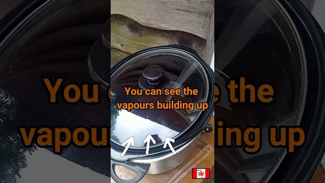 Making RSO With a Slow Cooker смотреть онлайн
