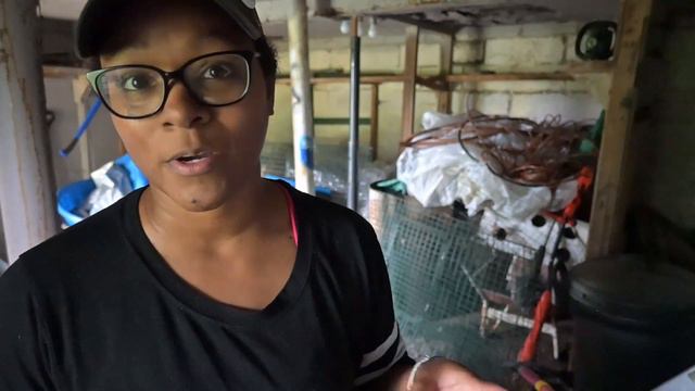 Garden Chores And Garage Clean Up | Seed Starting Pots | Philodendron Prince Of Orange