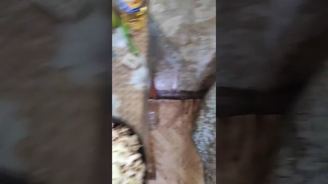 Пироги с картофелем и грибами,суп перловый с говядиной. смотреть онлайн