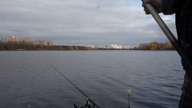 Рыбалка. Плотва на поплавок осенью на пруду смотреть онлайн