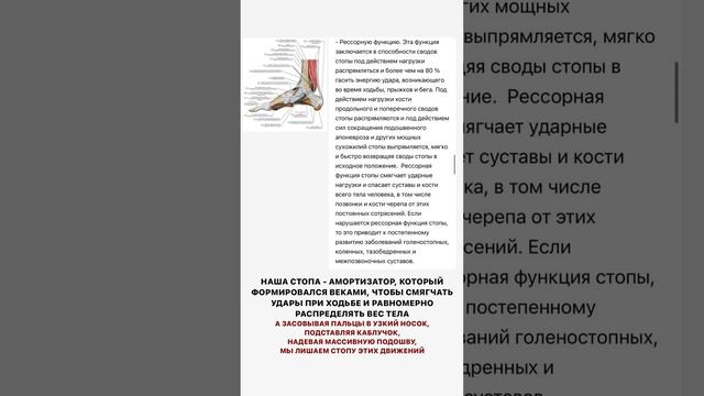 Как влияет обувь на фигуру? Вы точно выбираете хорошую обувь? смотреть онлайн