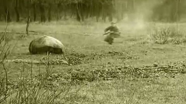 Без названия