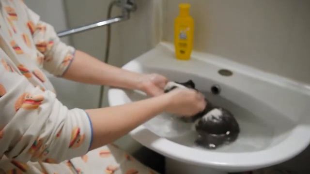 ВЕСЕЛОЕ КУПАНИЕ МОРСКОЙ СВИНКИ!) SvinkiShow Свинки Шоу GUINEA PIG"S BATH TIME смотреть онлайн