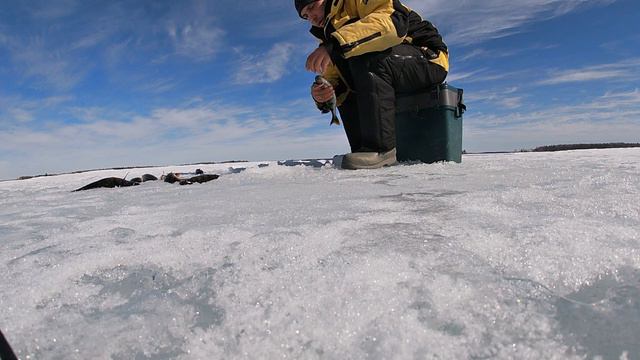 БЕШЕНЫЙ КЛЕВ ОКУНЯ НА БАЛАНСИР смотреть онлайн