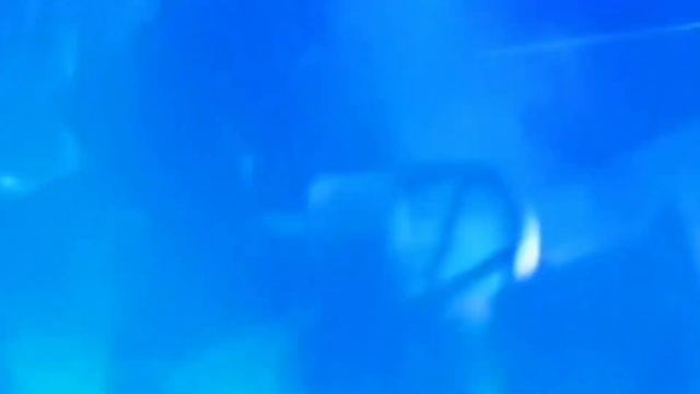 Epic Game Music Concert 2019 - A Theme From Frostpunk - The City Must Survive By Piotr Musiał