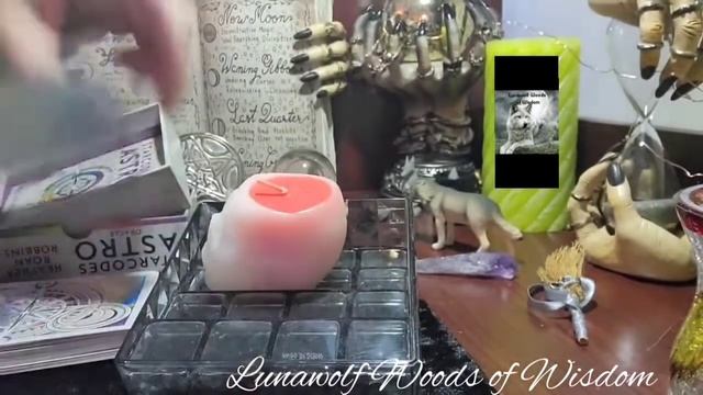 Reveal- Starcodes Astro Oracle #starcode #tarotreadersofyoutube #astrotarot смотреть онлайн