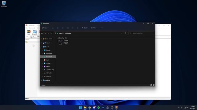 How To Use Custom Skins (CustomNPCs Mod)