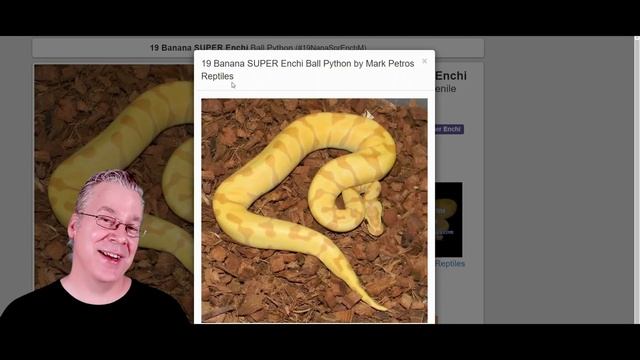 The Top 20 Ball Pythons for $500 смотреть онлайн