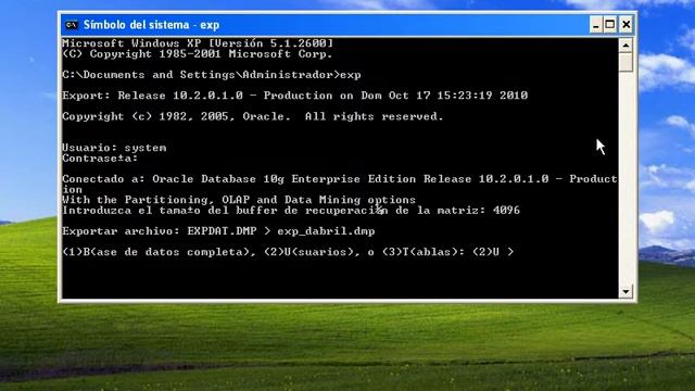 Respaldo EXP ORACLE 10 G - Utilitario смотреть онлайн