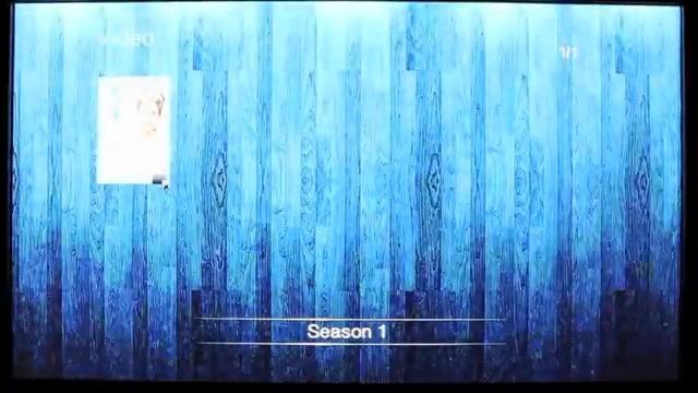 WDTV Custom Movie Sheets смотреть онлайн