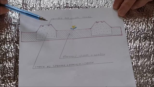 Морковь. Мои советы на практике. смотреть онлайн