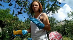 Обработка нашей окотной козы Зорьки от паразитов ( блох, клещей и т.д)