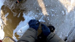 Зимняя рыбалка на щуку. Рыба сиг. Рыбалка на Амуре.