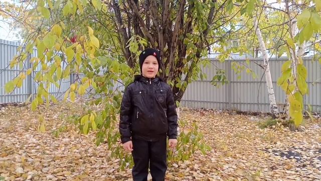 Кондаков Лев, 6 лет, МБДОУ "ДСКВ № 115", М. Тумашева "Осень-роща золотая!" смотреть онлайн