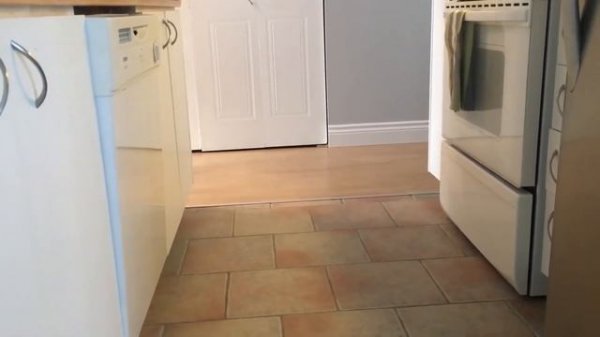 8 Minutes of UNBELIEVABLE Animal Moments CAUGHT ON CAMERA!!