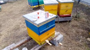 Весенняя обработка пчел от клеща, испаритель для щавеливой кислоты
