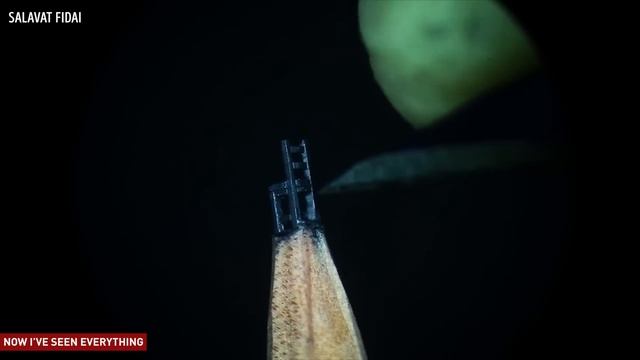 THIS ARTIST TURNS PENCIL TIPS INTO INCREDIBLE SCULPTURES смотреть онлайн