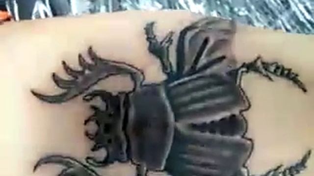 Scarab tattoo смотреть онлайн