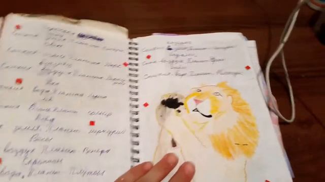 Обзор личного дневника идеи для лд смотреть онлайн