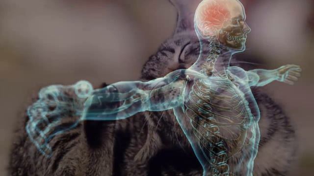 Экологические Загадки