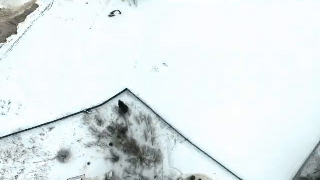 Алешино: строительство индустриального парка РИО-Индастриал смотреть онлайн