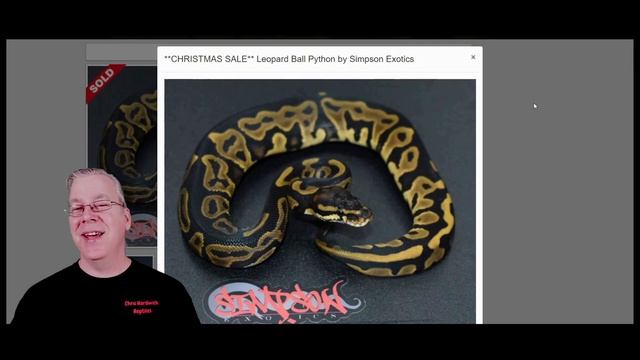 The Amazing 'Grail' Ball Python! смотреть онлайн