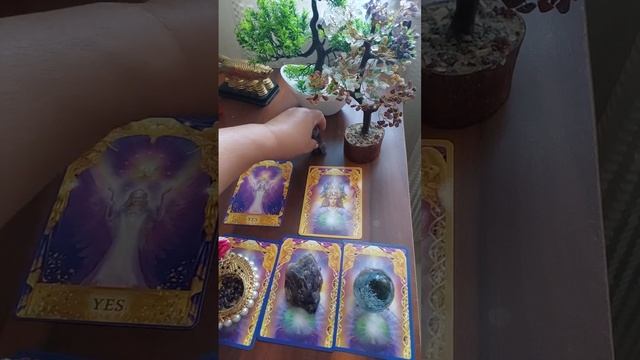 YES/NO QUICK READING...??♀️?......#viral #trending #messages #angelguidance смотреть онлайн