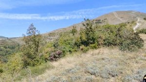 На Кайо Т4 Шапсугская Новороссийск Маркхот Кабардинка сухогруз Рио Эндуро покатушки