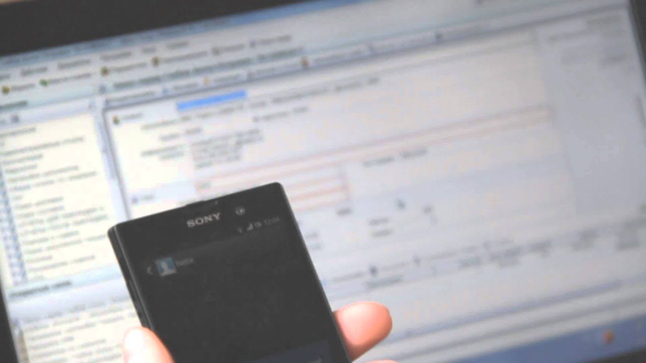 Использование SMS в Netix Triceps