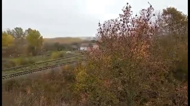 2 ноября. Артемьев день, Святой Артемий. ПОЛОЖИТЕ В СОЛЬ ДЕНЕЖНУЮ КУПЮРУ/Народные приметы смотреть онлайн