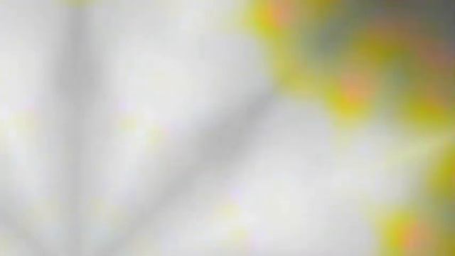 ATSUKO KOBAYASHI（Designer）- FLYING SNAKE OF THE FLAME смотреть онлайн