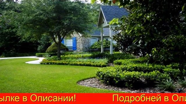 Жидкий Газон Купить В Леруа Мерлен Цена смотреть онлайн