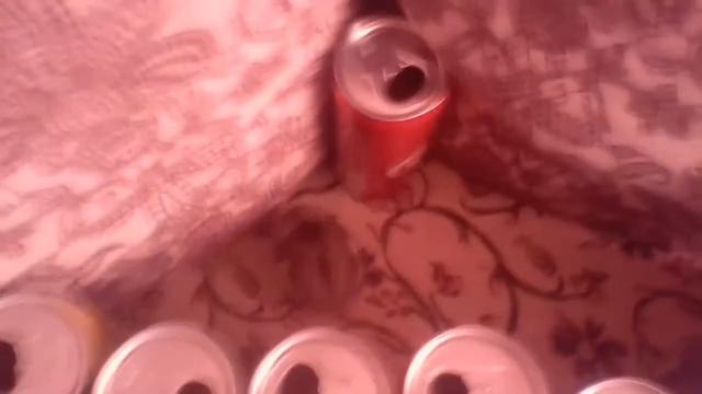 Что будет делать хомяк если обложить вокруг его баночки??? смотреть онлайн