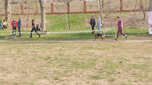 Баларис Чудь