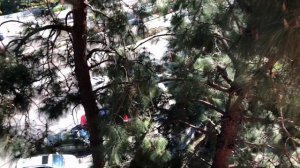 Как живут старики в Америке | Получили Новое Жильё