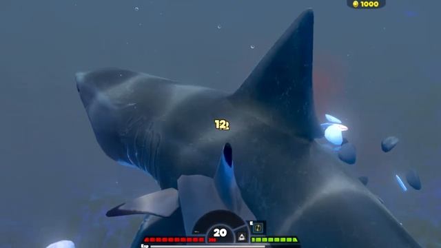 Feed & Grow Fish Black Tip Shark Vs Great White Shark (read desc) смотреть онлайн