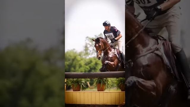 Я сегодня упала с лошади на галопе...ужасно больно ? #рекомендации #equestrain #лошади #horseriding смотреть онлайн