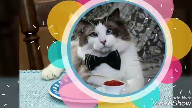 Поздравление самой себе! смотреть онлайн